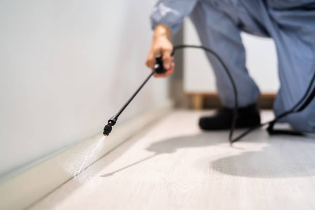 Professional exterminator conducting IPM assessment in Elbow Lake